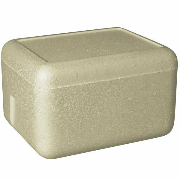 Plastilite Insulated Biodegradable Cooler 11 3/8'' x 8 3/4'' x 6'' - 1 1/2'' Thick 451RSL610PLT